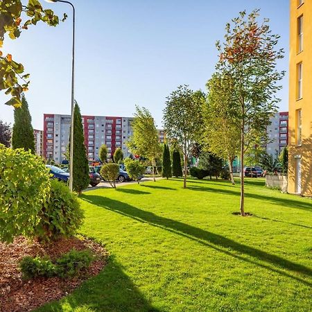 Apartment Richy Braşov Exterior foto