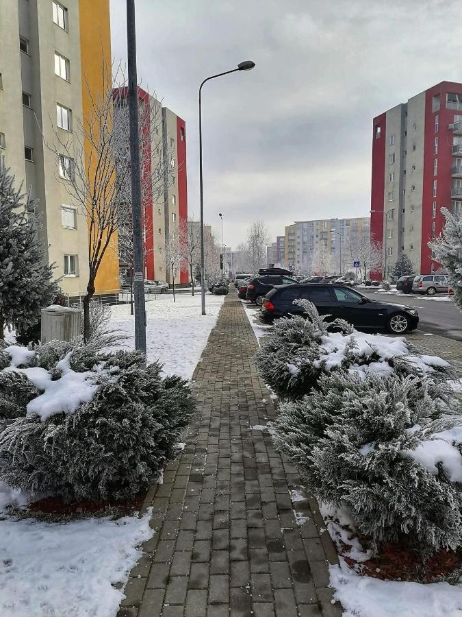 Apartment Richy Braşov Exterior foto